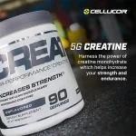 کراتین کور پرفورمنس سلوکور Cellucor COR Performance Creatine - تصویر 2