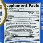 آمینو انرژی اپتیموم نوتریشن Optimum Nutrition Essential Amino Energy - تصویر 4